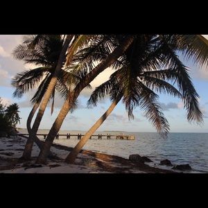 Meet your Posher, Keagan